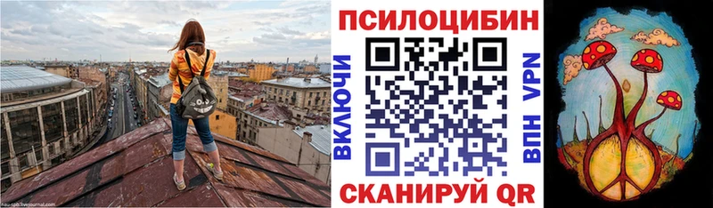 Галлюциногенные грибы MAGIC MUSHROOMS  Иланский 